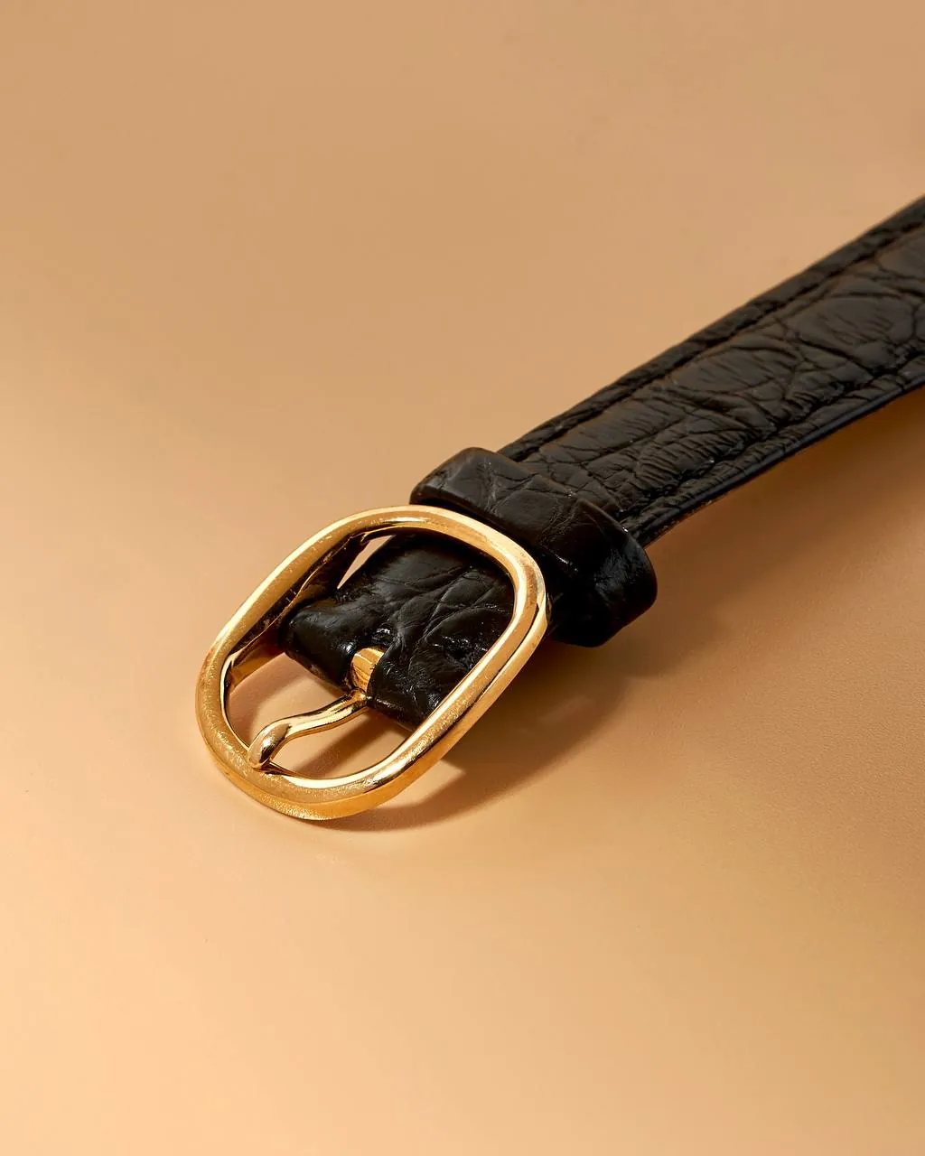 Patek Philippe Ellipse Enamel and Gold Dial 3855 – 6